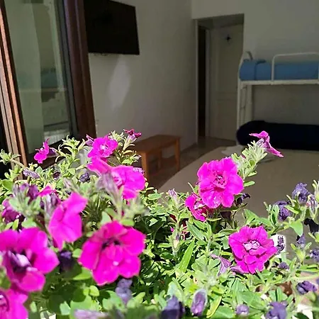 La Stella Dei Venti Bed & Breakfast 3*